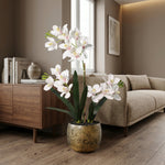 





Kunstplant Orchidee Phalaenopsis met Sierpot | 71cm - Lifestyle foto kunstplant in interieur
 thumbnail