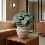 





Kunstpflanze Eucalyptus | 21cm - Afbeelding 4
 thumbnail