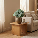 





Kunstpflanze Eucalyptus | 21cm - Afbeelding 6
 thumbnail