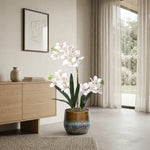 





Kunstplant Orchidee Phalaenopsis met Sierpot | 71cm - Afbeelding 5
 thumbnail