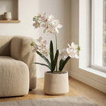 





Kunstplant Orchidee Phalaenopsis met Sierpot | 71cm - Afbeelding 4
 thumbnail