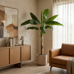 





Umelá rastlina Banánovník | 180cm - Afbeelding 5
 thumbnail