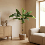 





Umelá rastlina Banánovník | 180cm - Afbeelding 4
 thumbnail