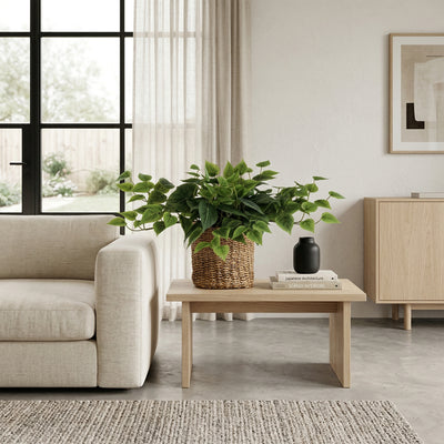 Kunstplant Epipremnum met Sierpot | 30cm