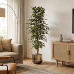 





Kunstpflanze Ficus Benjamina Variegata | 205cm - Lifestyle foto kunstplant in interieur
 thumbnail