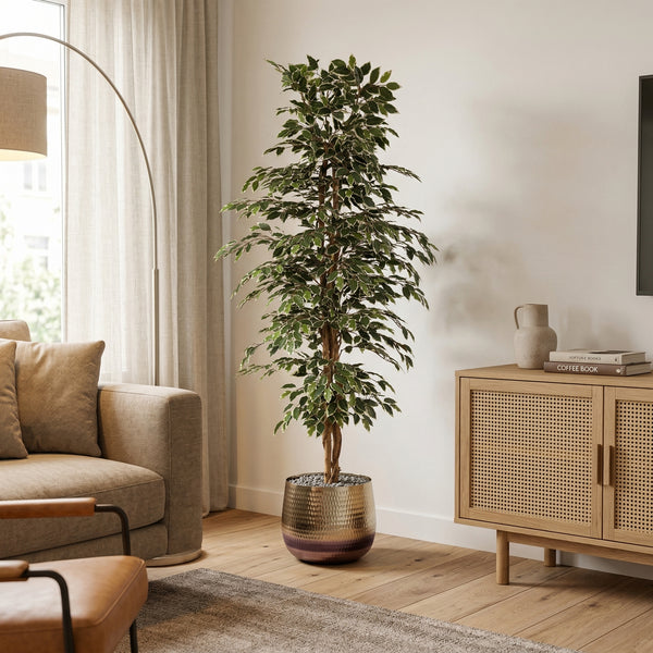 Kunstplant Ficus Benjamina Variegata | 205cm — nærbillede ægte træstamme