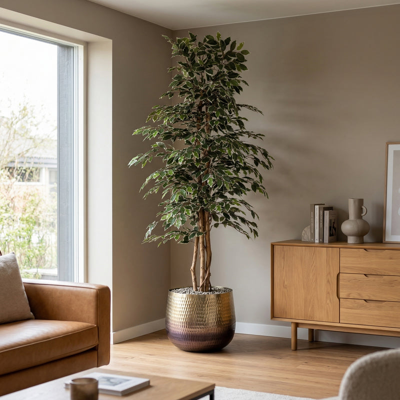 





Kunstpflanze Ficus Benjamina Variegata | 205cm - Afbeelding 5
