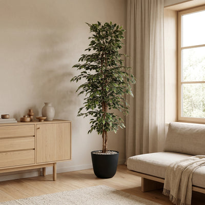 Kunstplant Ficus Benjamina Variegata | 205cm