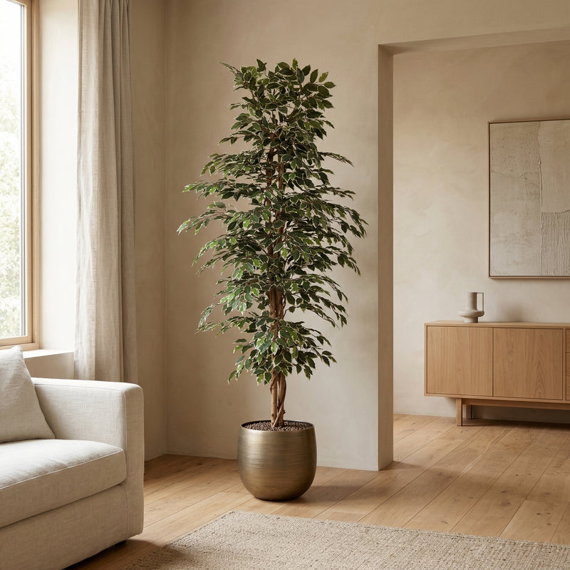 





Kunstpflanze Ficus Benjamina Variegata | 205cm - Afbeelding 7
