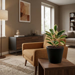 





Kunstpflanze Hoya Variegata | 25cm - Afbeelding 5
 thumbnail