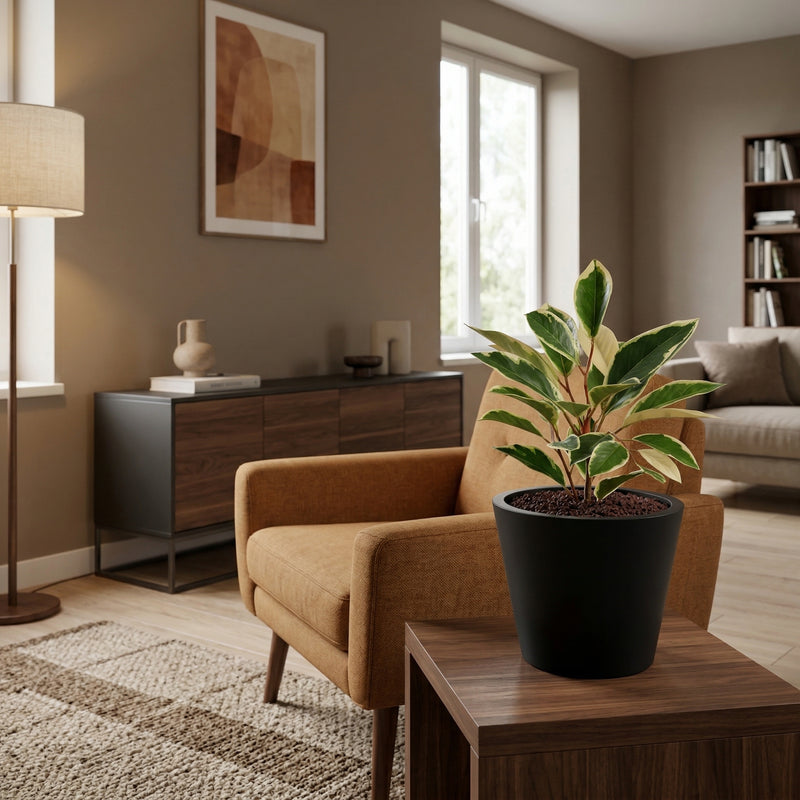 





Kunstpflanze Hoya Variegata | 25cm - Afbeelding 5
