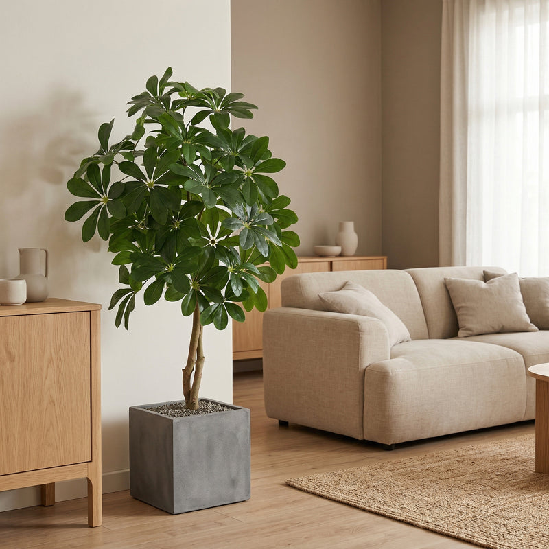 





Kunstpflanze Schefflera Arboricola - Afbeelding 4
