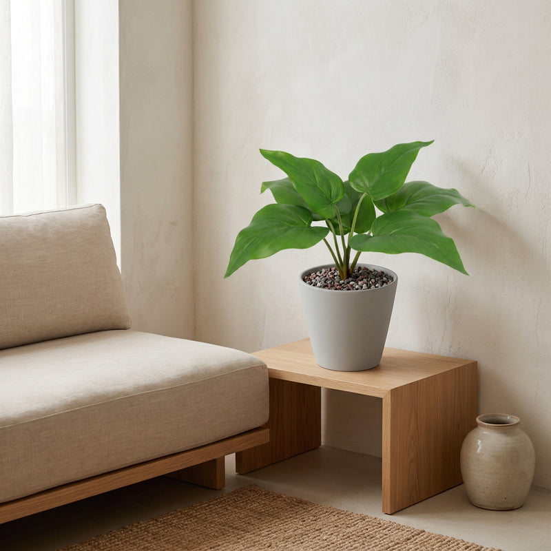 





Kunstpflanze Philodendron Imperial Green - Afbeelding 6
