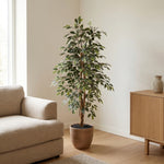 





Sztuczna Roślina Ficus Benjamina Variegata | 160cm - Afbeelding 6
 thumbnail