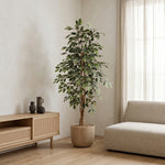 





Sztuczna Roślina Ficus Benjamina Variegata | 160cm - Afbeelding 5
 thumbnail