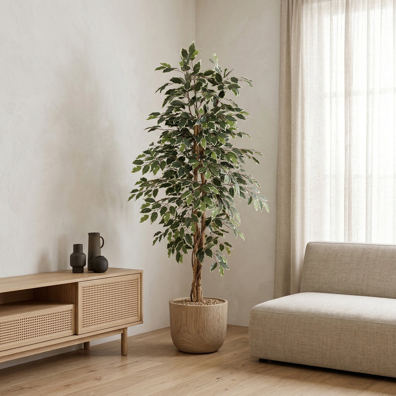 





Sztuczna Roślina Ficus Benjamina Variegata | 160cm - Afbeelding 5
