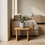 





Sztuczna Roślina Sansewieria - Afbeelding 5
 thumbnail