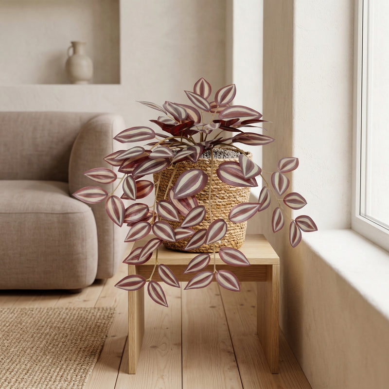 





Sztuczna roślina Tradescantia | 32cm - Lifestyle foto kunstplant in interieur
