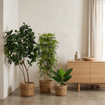 





Home Office Set | Complete Kantoor Kunstplanten Bundel - Lifestyle foto kunstplant in interieur
 thumbnail