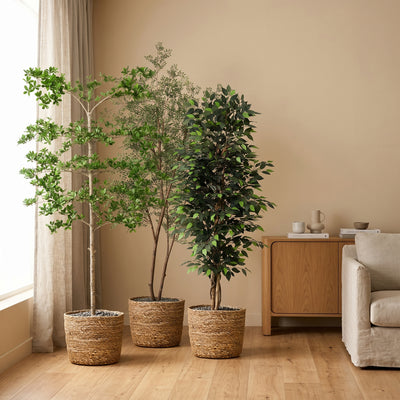 Vergaderzaal Complete | Zakelijke Kunstplanten Set XL