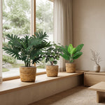 





Starter Trio | Tu Primer Conjunto de Plantas Artificiales - Premium kunstplant van Florafy
 thumbnail