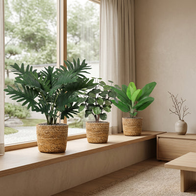 Starter Trio | Eerste Kunstplanten Set