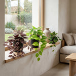 





Urban Jungle Hängepflanzen | Set B - Lifestyle foto kunstplant in interieur
 thumbnail