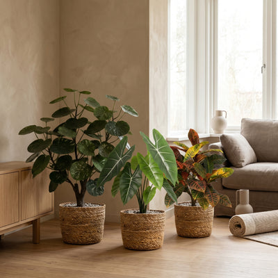 Groene Trio | Kunstplanten Set A