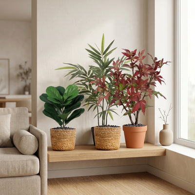 Groene Trio met Gevlochten Mand | Set B