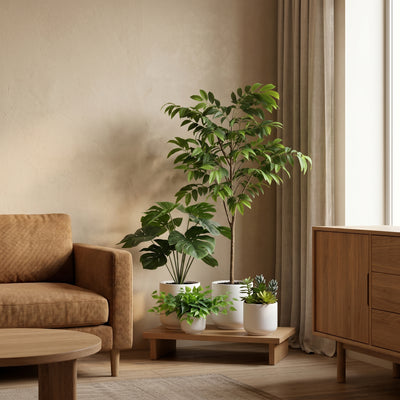Complete Plantenset met Witte Sierpot
