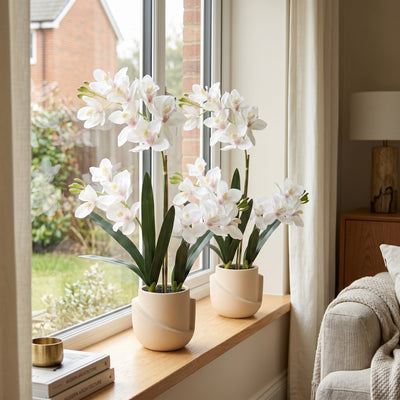 Orchideeën Duo met Witte Sierpot