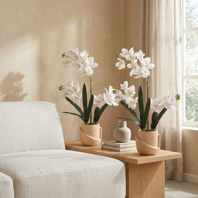 Orchideeën Duo met Witte Sierpot