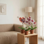 





Orchideen-Strauß | Kunstblumen-Mix - Afbeelding 4
 thumbnail