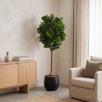 





Kunstplant Ficus Lyrata | 180cm - Lifestyle foto kunstplant in interieur
 thumbnail