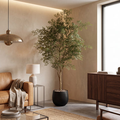 Kunstplant Ficus Cassia | 206cm
