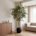 





Pianta Artificiale Ficus Cassia | 206cm - Detail view kunstplant
 thumbnail
