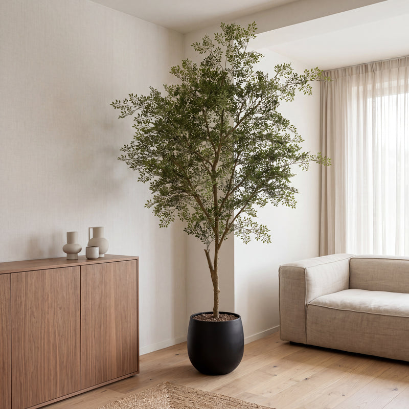 





Pianta Artificiale Ficus Cassia | 206cm - Detail view kunstplant
