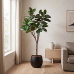 





Pianta artificiale Ficus Elastica Robusta | 170cm - Afbeelding 8
 thumbnail