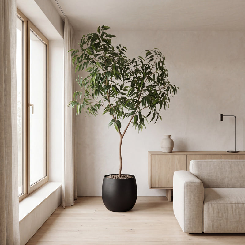 





Pianta artificiale Ficus Alii King | 240cm - Afbeelding 6
