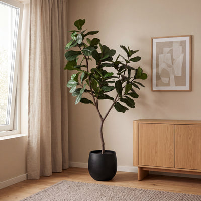 Kunstplant Ficus Lyrata Boom | 240cm