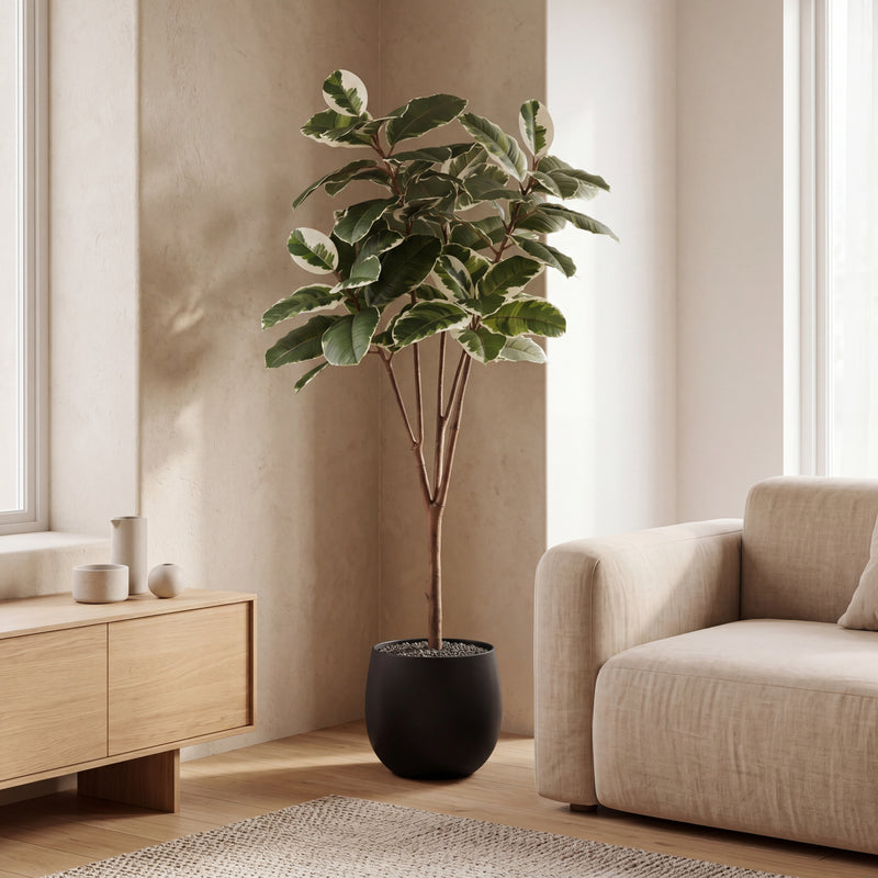 





Pianta artificiale Ficus Elastica Tineke | 170cm - Afbeelding 5
