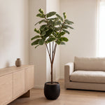 





Pianta artificiale Ficus Elastica Tineke | 170cm - Afbeelding 4
 thumbnail