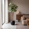 Kunstplant Ficus Elastica Tineke | 170cm