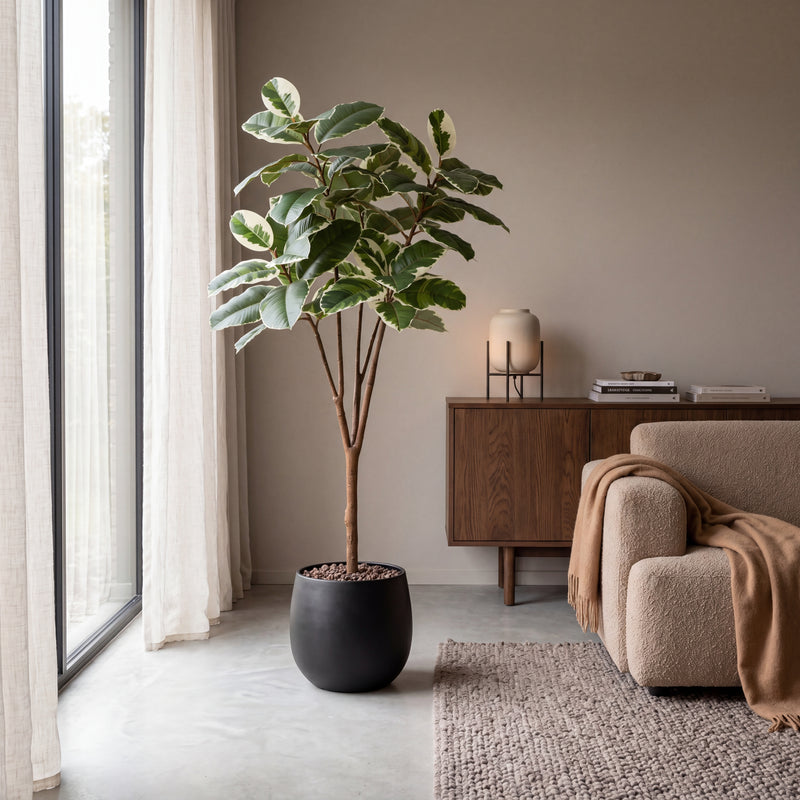





Pianta artificiale Ficus Elastica Tineke | 170cm - Lifestyle foto kunstplant in interieur
