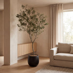 





Kunst Olijfboom | 240cm - Afbeelding 4
 thumbnail