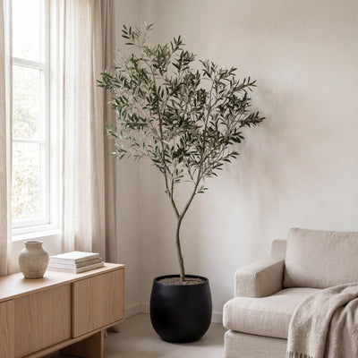 Kunst Olijfboom | 240cm