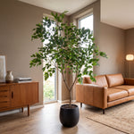 





Pianta Artificiale Ficus Benjamina | 240cm - Afbeelding 4
 thumbnail