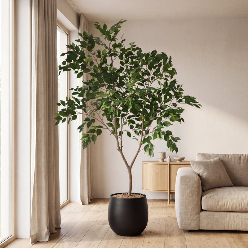 





Pianta Artificiale Ficus Benjamina | 240cm - Lifestyle foto kunstplant in interieur

