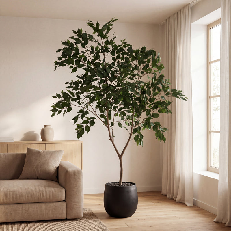 





Pianta Artificiale Ficus Benjamina | 240cm - Detail view kunstplant
