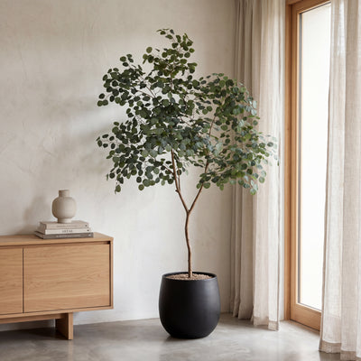Kunstplant Eucalyptus | 240cm